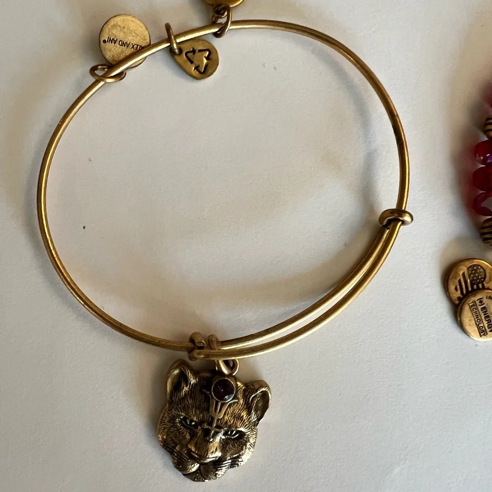 Alexand Ani bracelets